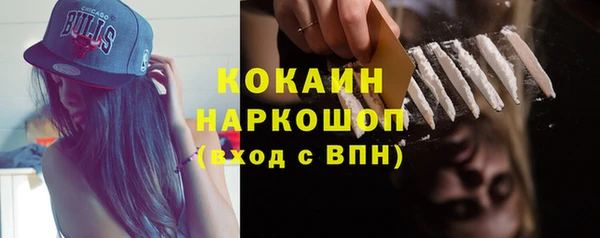 сатива Михайловка