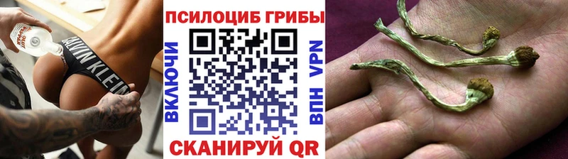 ОМГ ОМГ рабочий сайт  Курчатов  Галлюциногенные грибы Magic Shrooms  где продают наркотики 