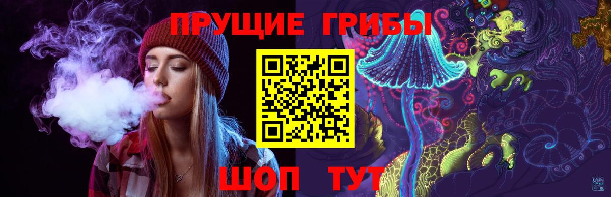 Галлюциногенные грибы GOLDEN TEACHER  Вход с VPN  Псилоцибиновые грибы мухоморы  Курчатов 